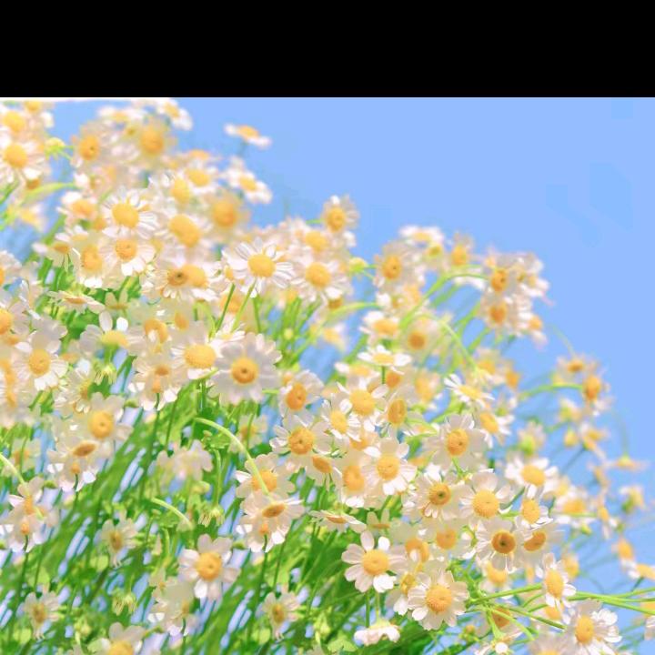 好兄弟
