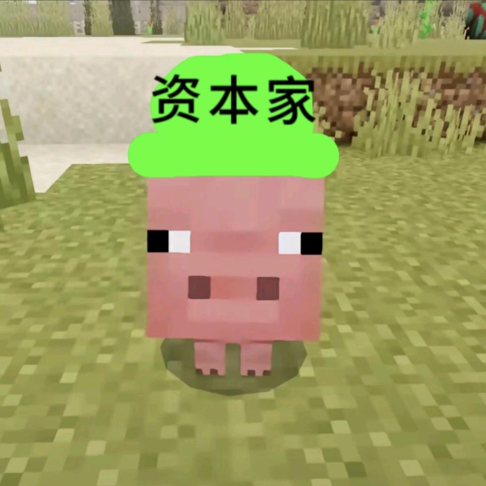 猴子大王（点🥚主页）