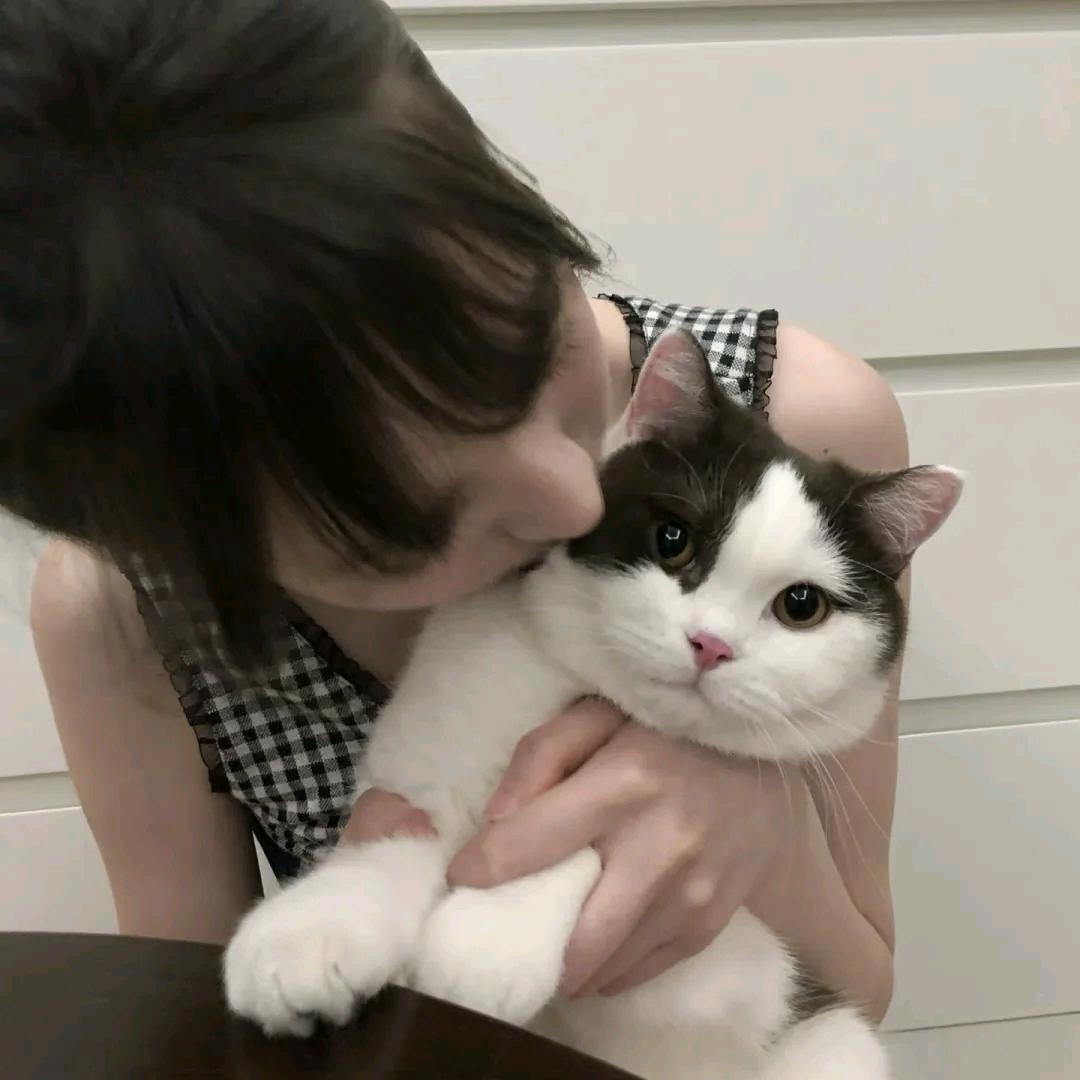 悲痛回忆