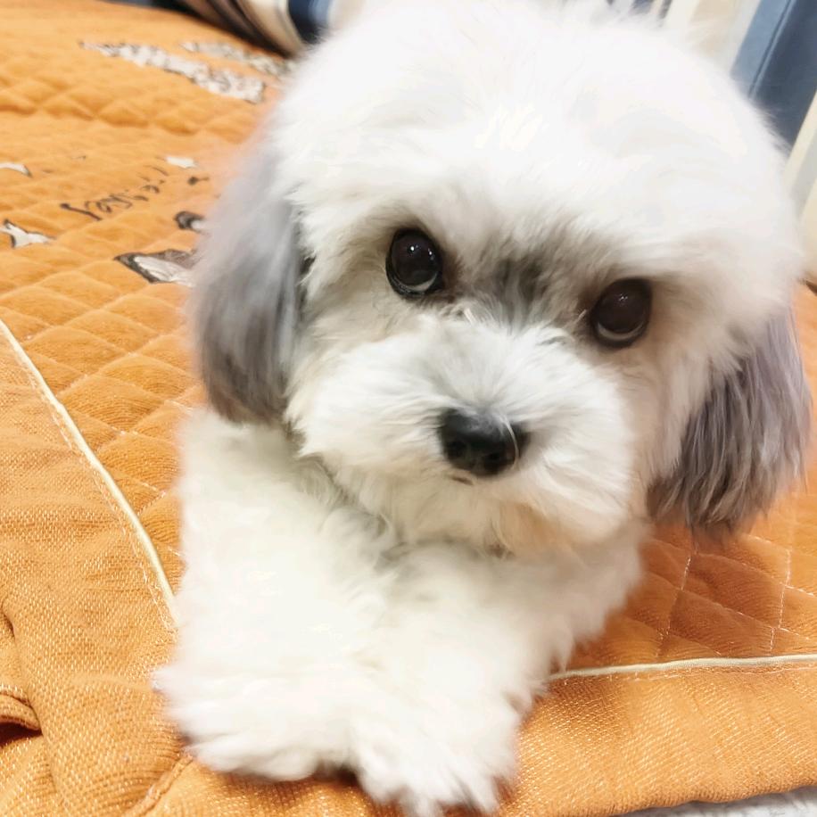 🌹是美伢啊🌚