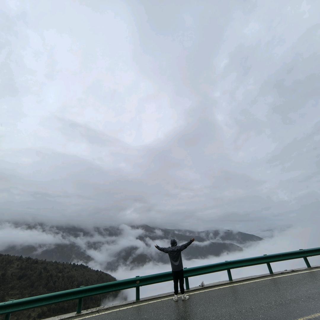 勒死狗