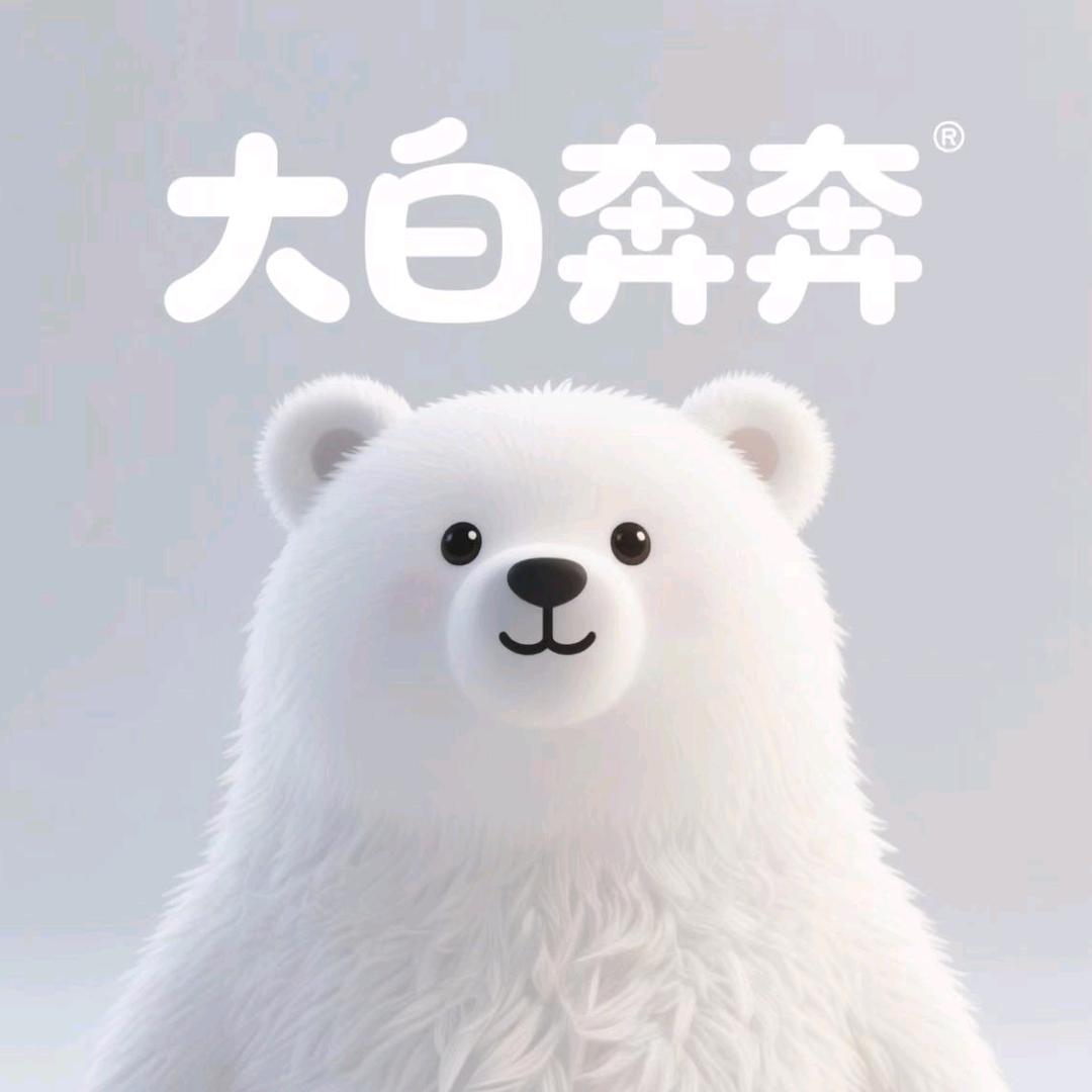 大白软件开发服务