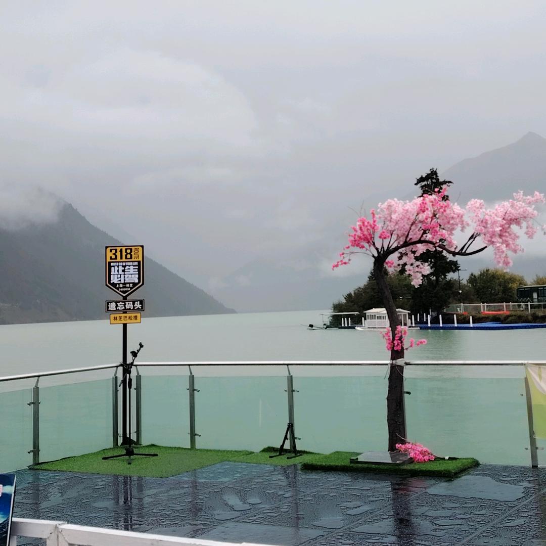 林芝市塔布男孩