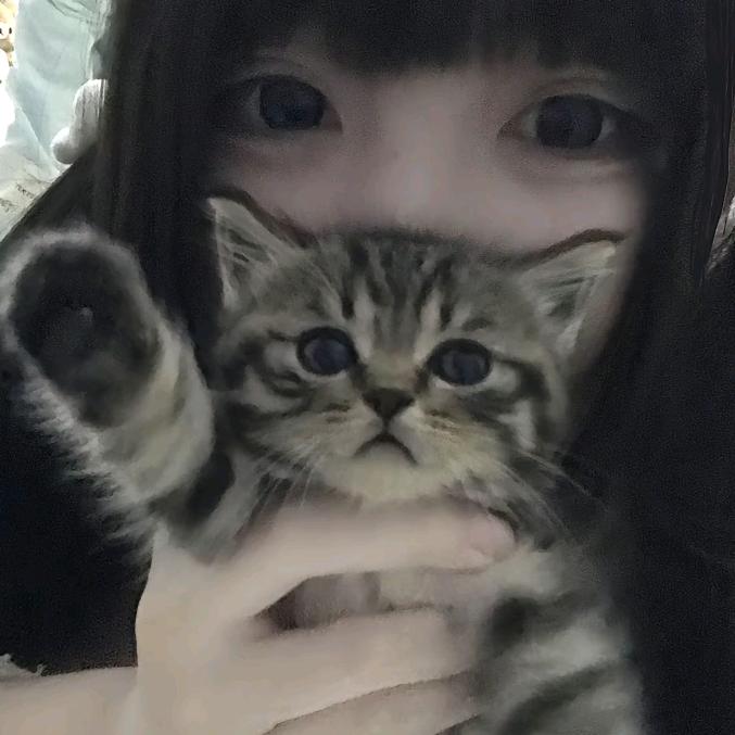 雨珊
