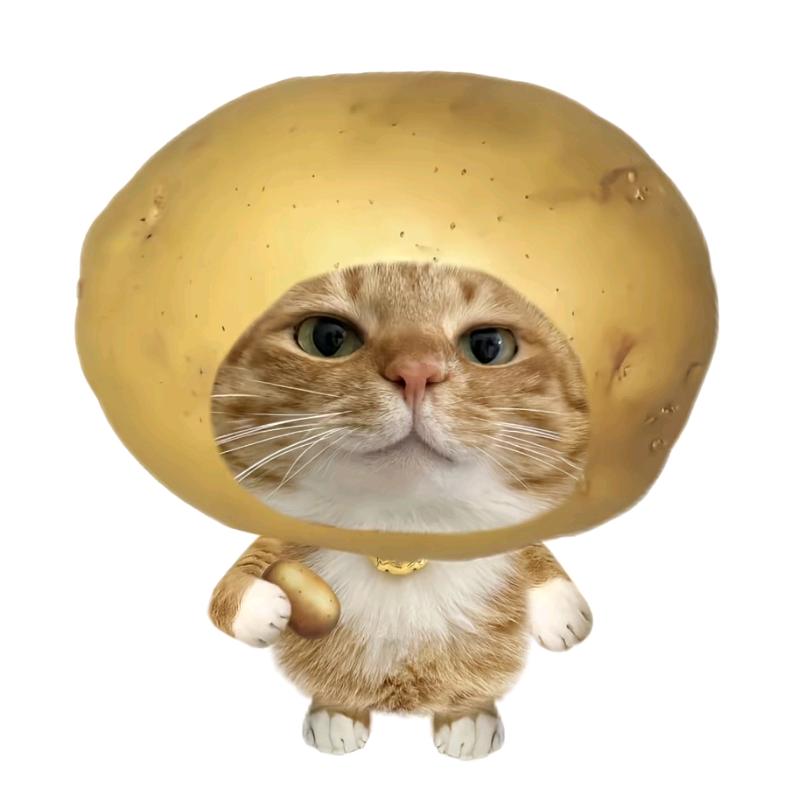 高冷洋芋去蹦迪自带调料被小奶狗猛吸小香风