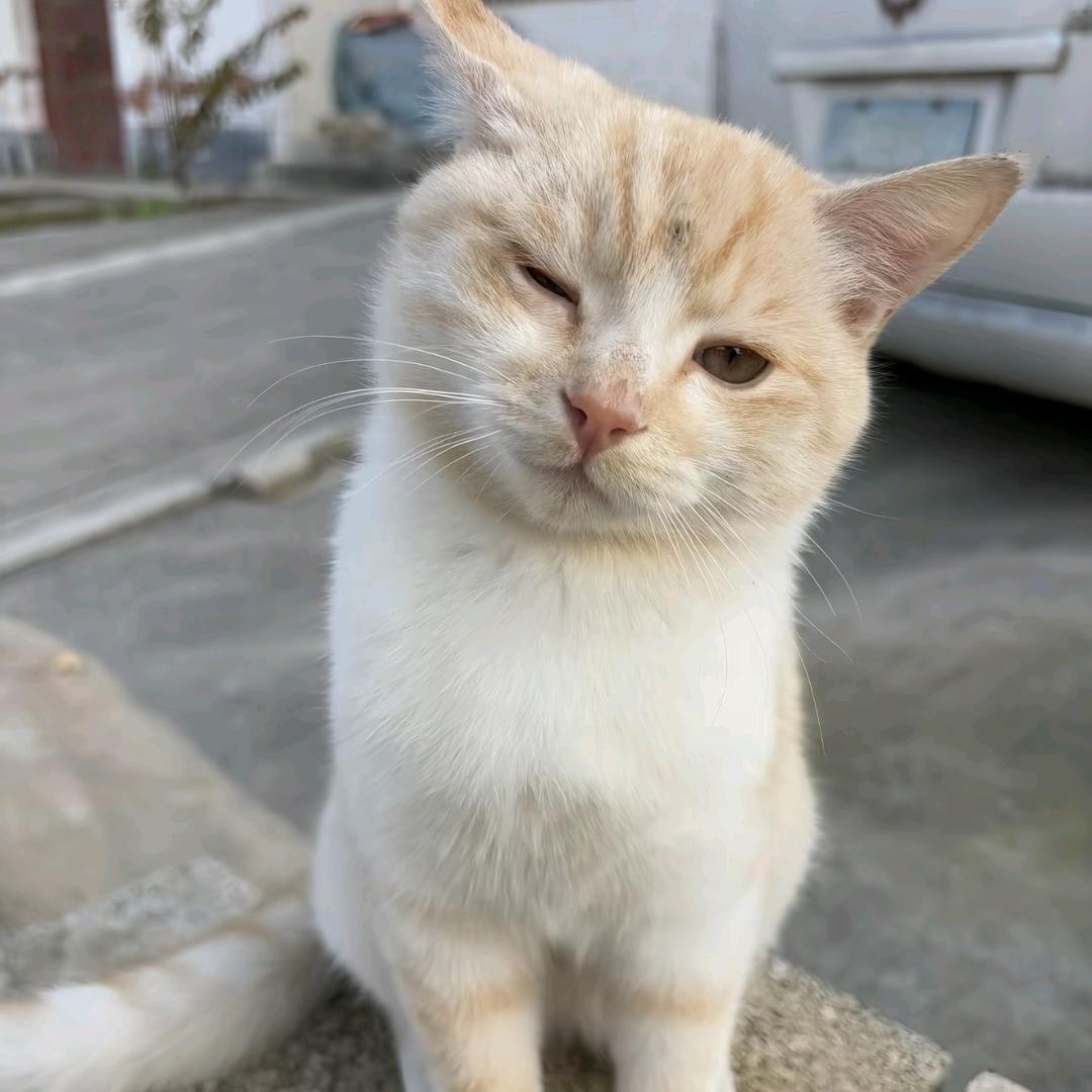 一分钟.