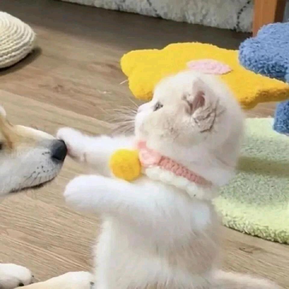 ヽ半梦半醒之间