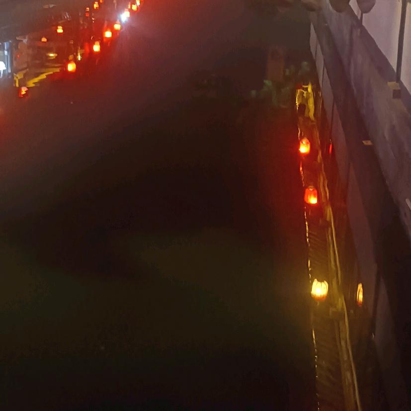 (ͼ̤͂ ͜ ͽ̤͂)✧呆子