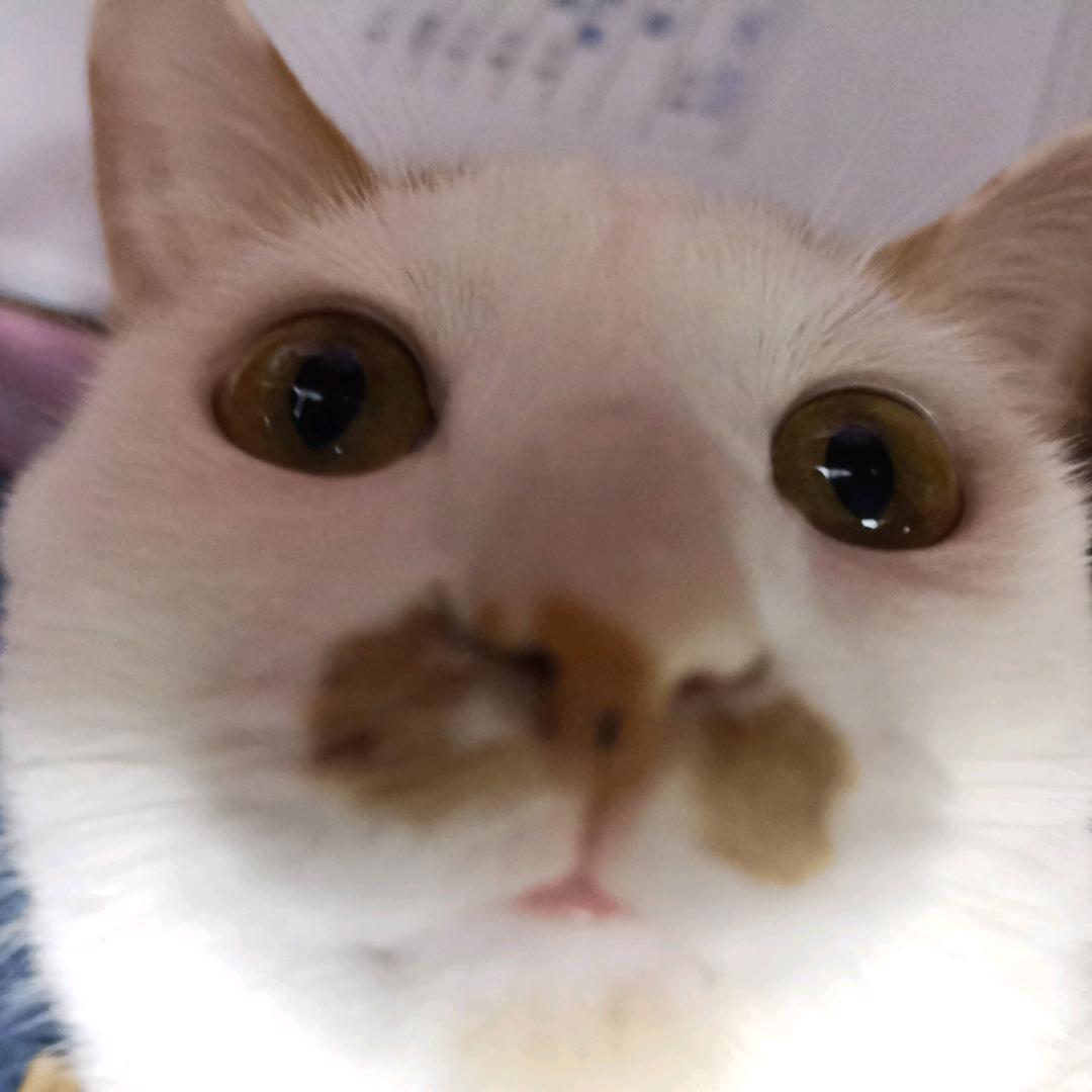 这勺糖不甜