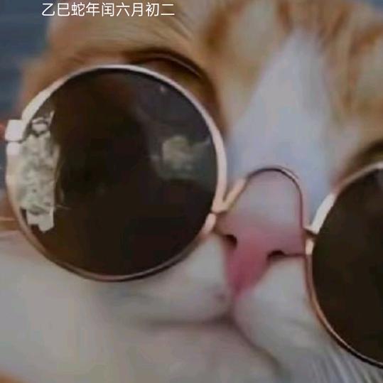 今生只为遇见你