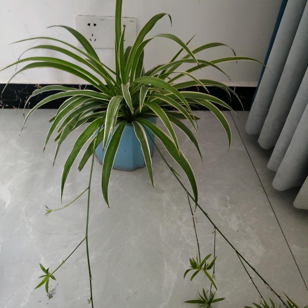 你好，我是小滴