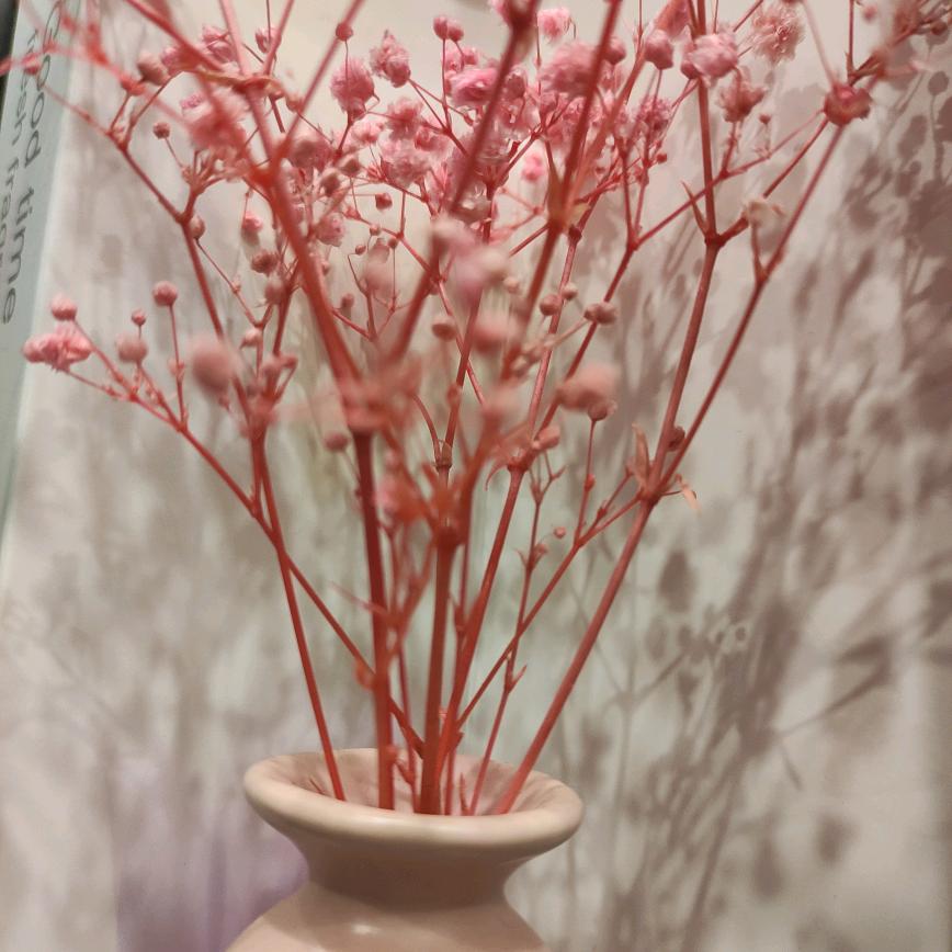 松鼠Ai人工智能学习体验中心