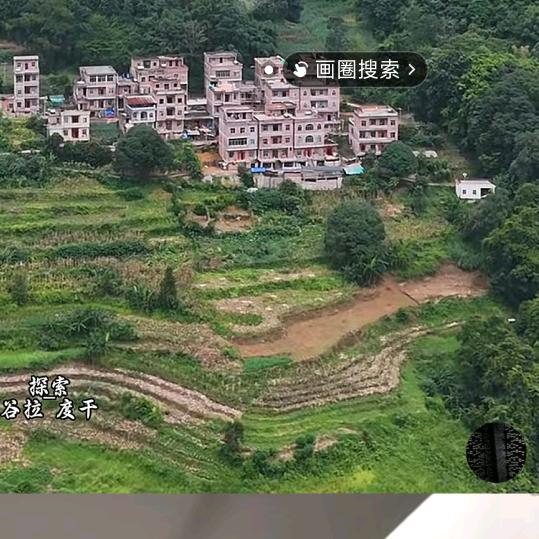 韦二姐