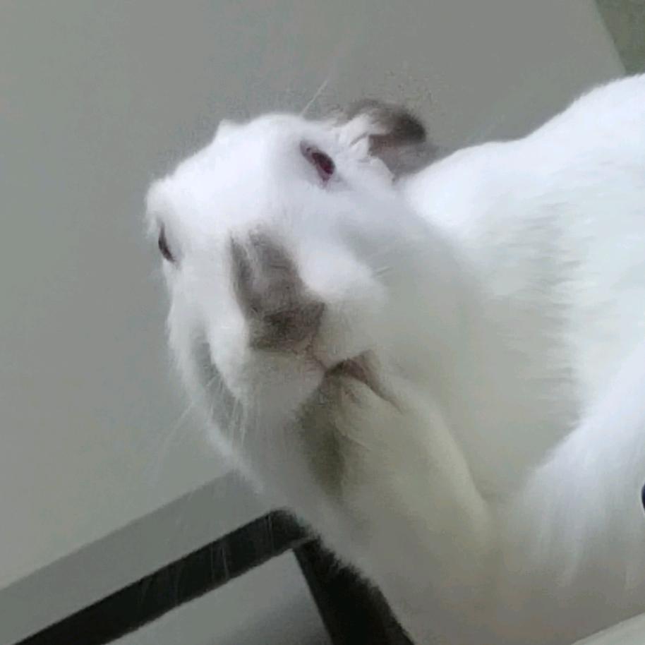 芋圆菠萝小奶糕