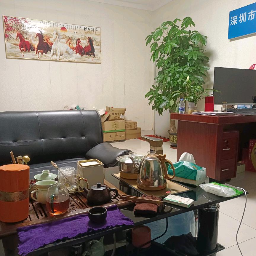 曾经拥有