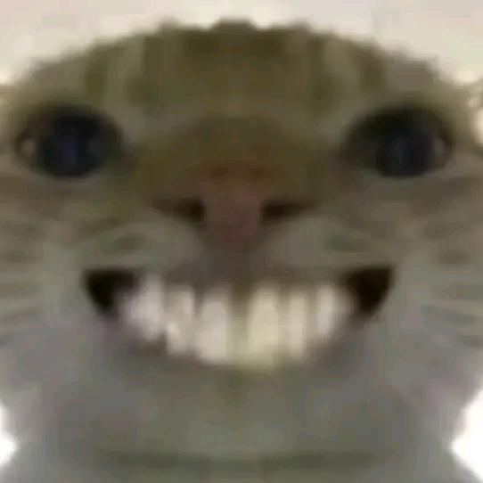 细雨（三角洲行动）