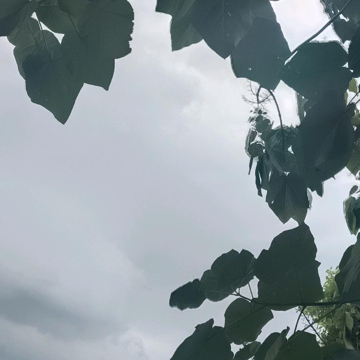 幸福一家