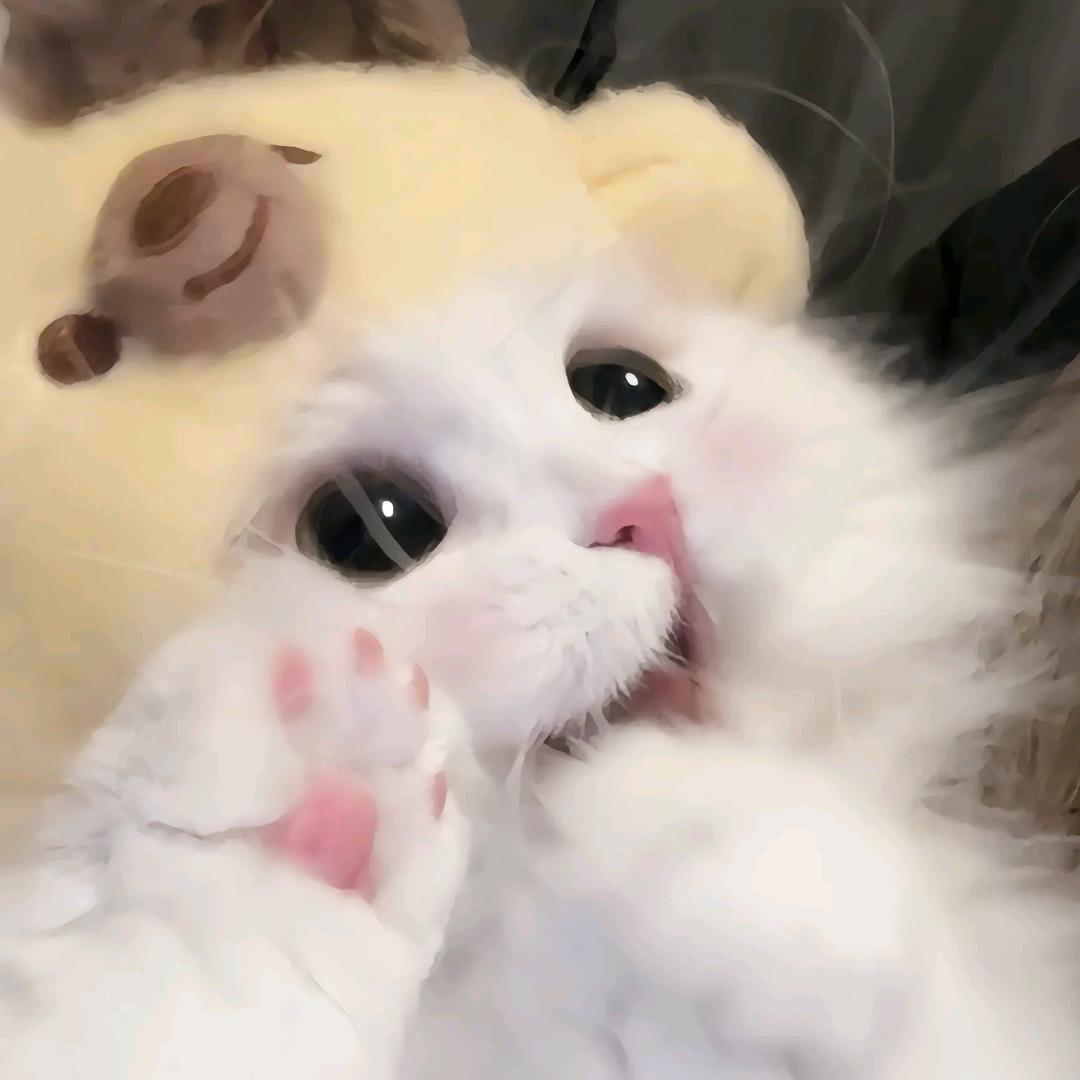语诺