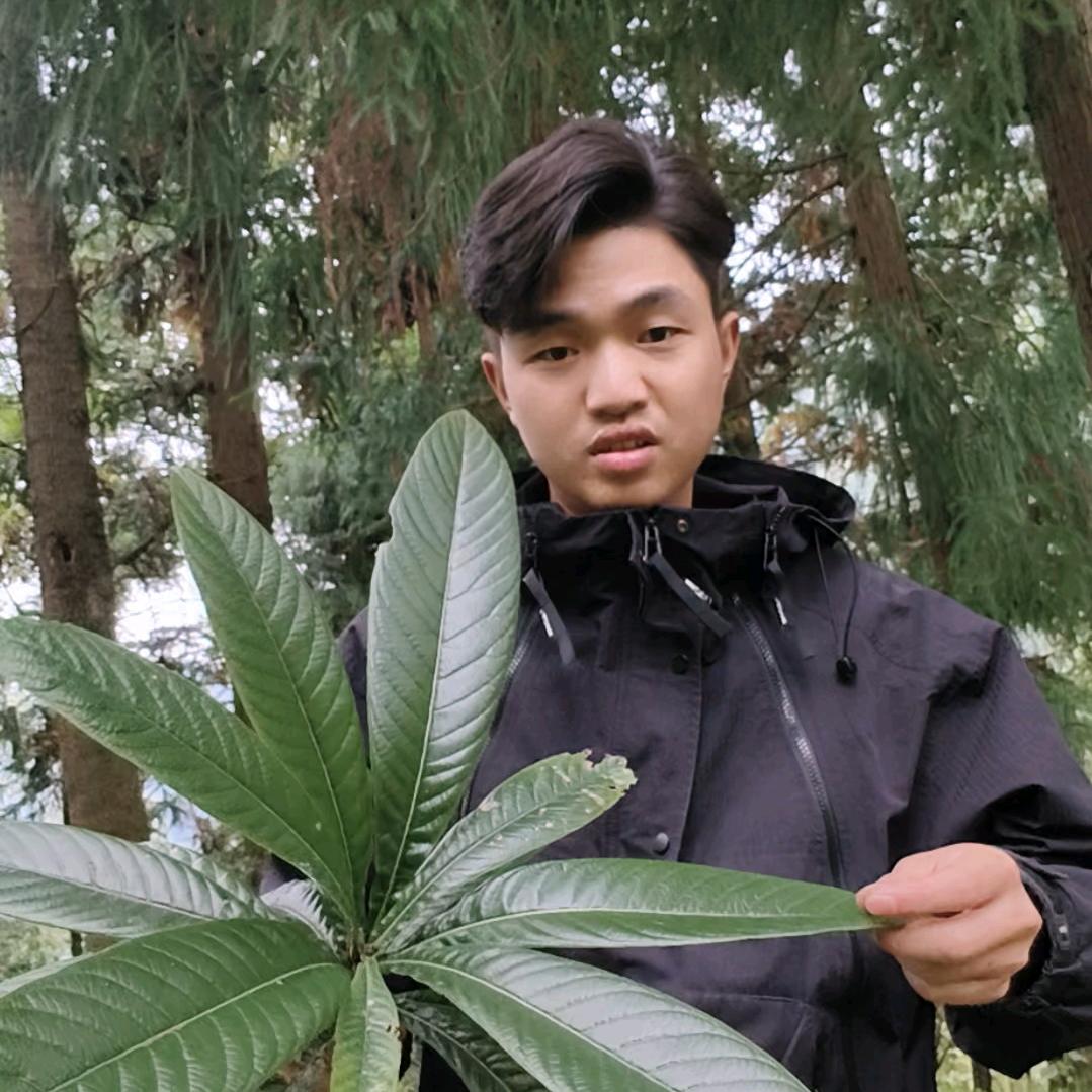 苗海军分享土方法