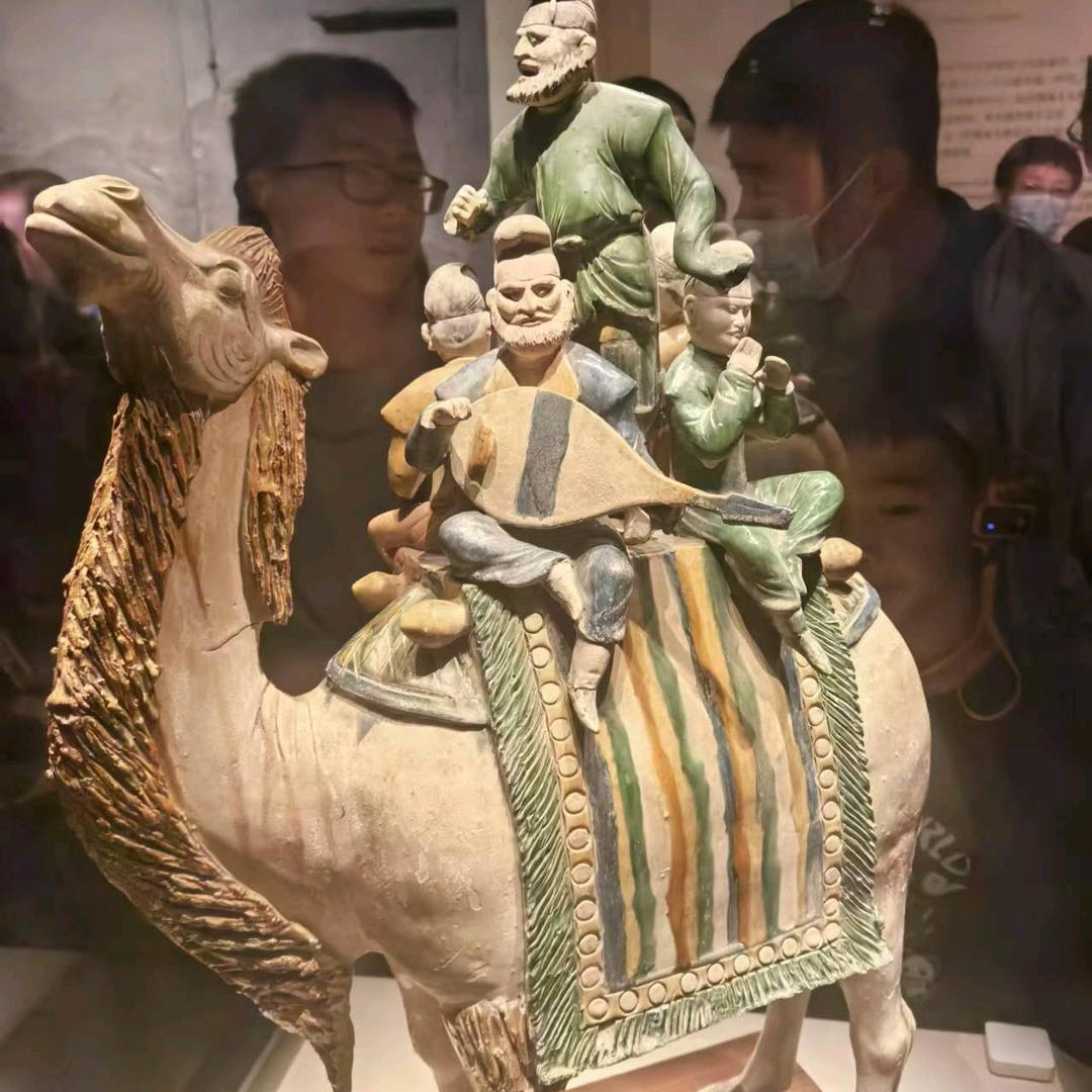 月珍《迪哥战队》ch