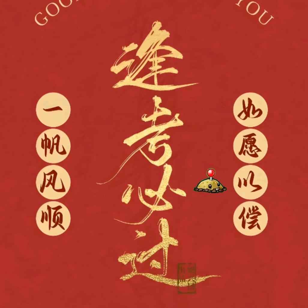 探险家杨哥