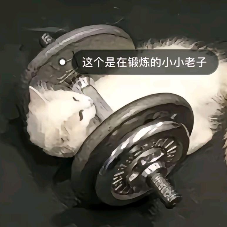 最后的轻语