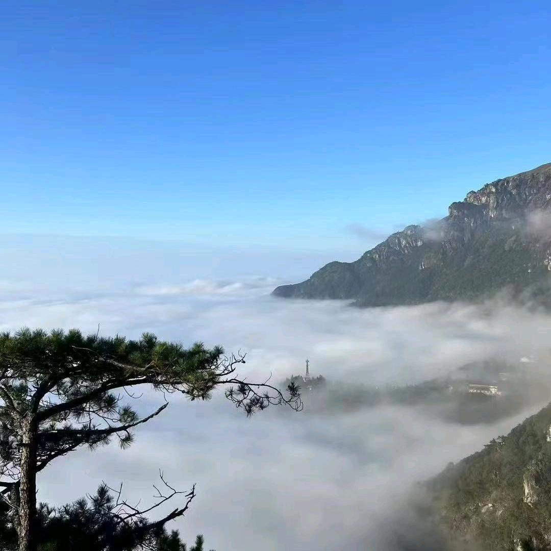 是毛毛吖