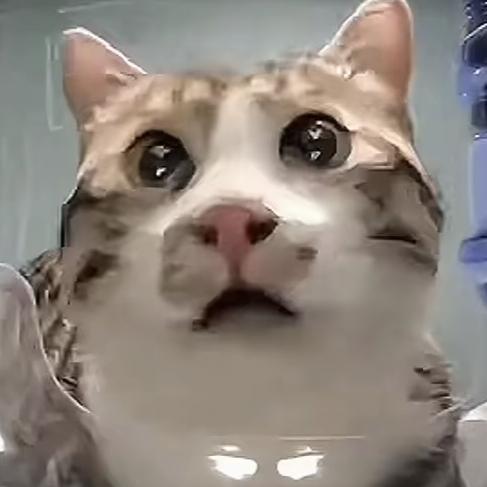 武七七（直播版）