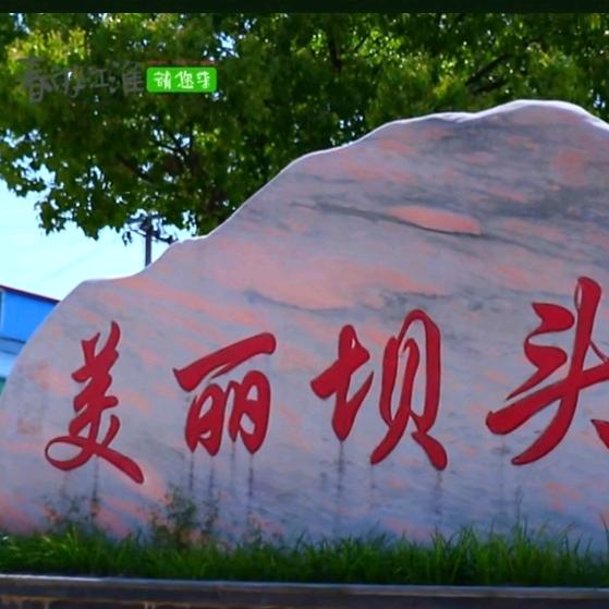 用户283780668778