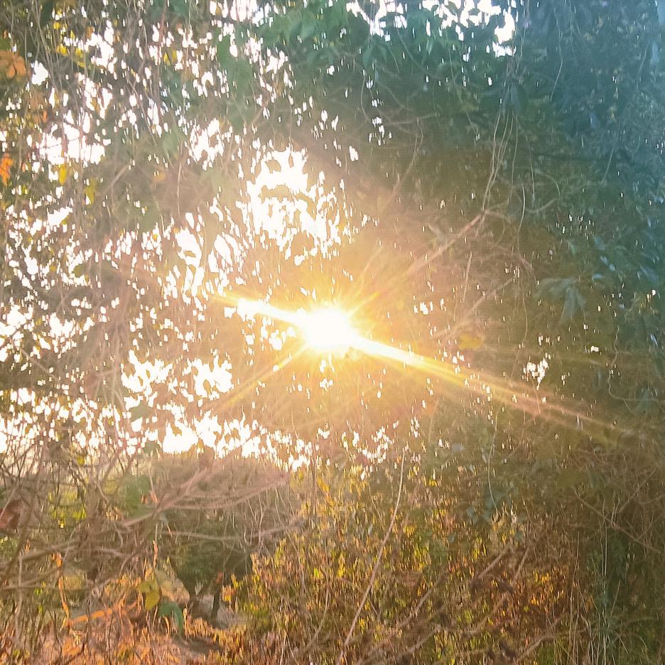 琉璃川