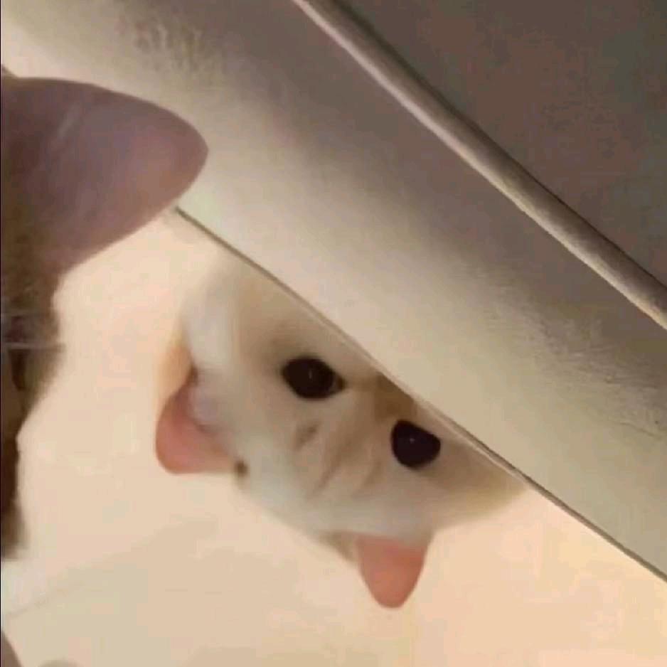 爱吃荔枝-