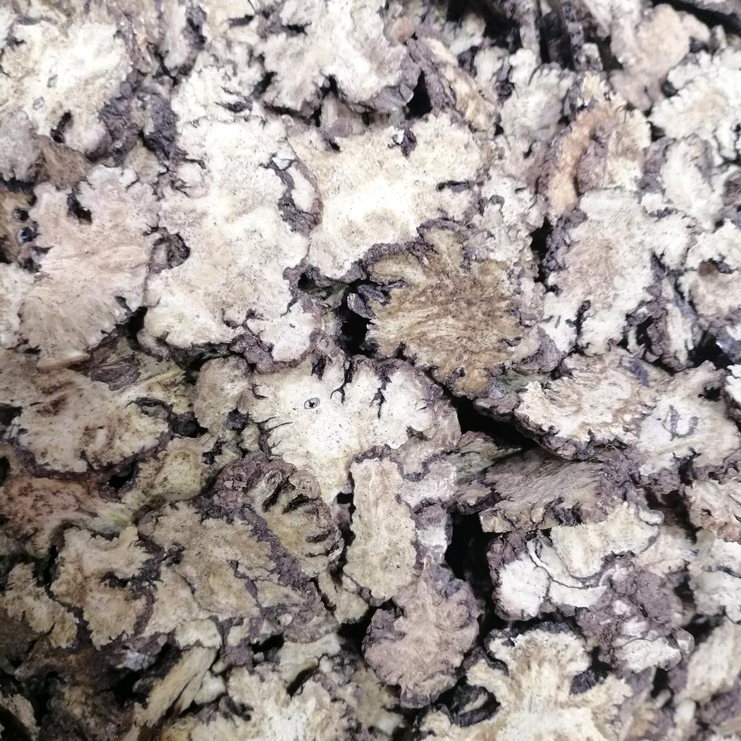 💰川芎 💰 泽泻大货