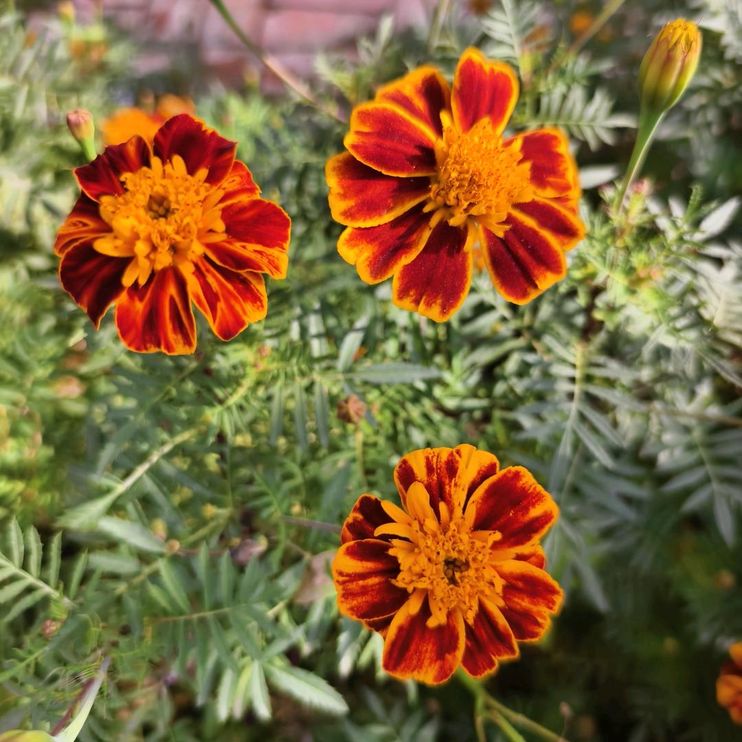 岁月静好🇨🇳