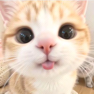 雪枝兮