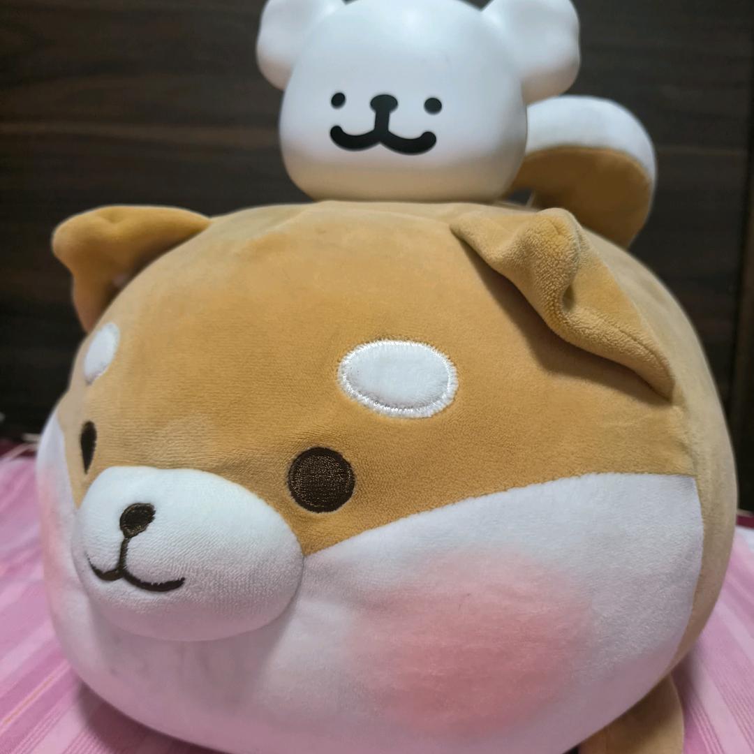 爱吃瓜子的向日葵🌻