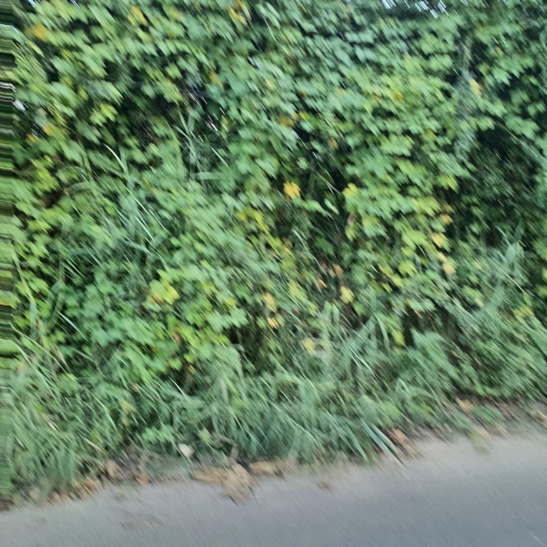 奋斗