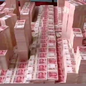 浙江省杭州市月月红。