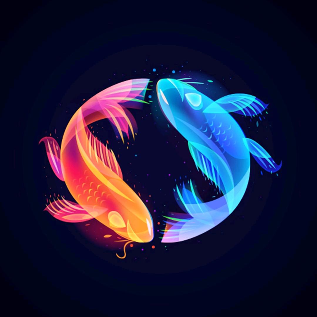 🌈🌟华❤️仔🌟