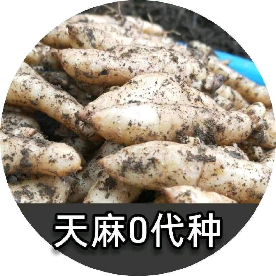 安徽省水云外家庭农场-崔先生