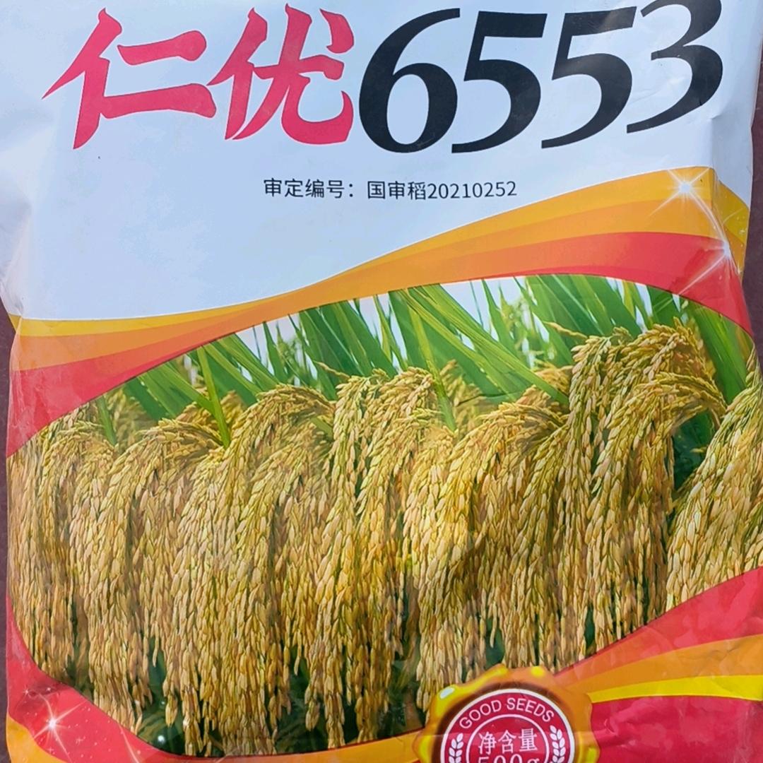 王彬