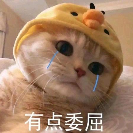 星动互娱-小袁