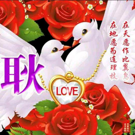 雄鹰腾飞！🇨🇳🇨🇳🇨🇳