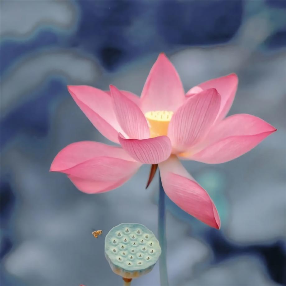 幸福一家人