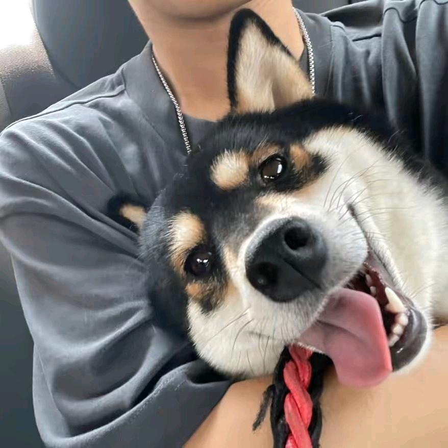 笑瘾.