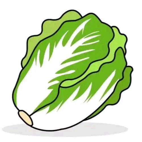 白菜爸爸🥬🥬🥬