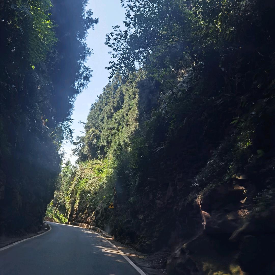 言旨