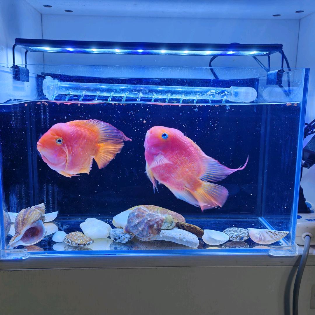 青山不改，拜拜