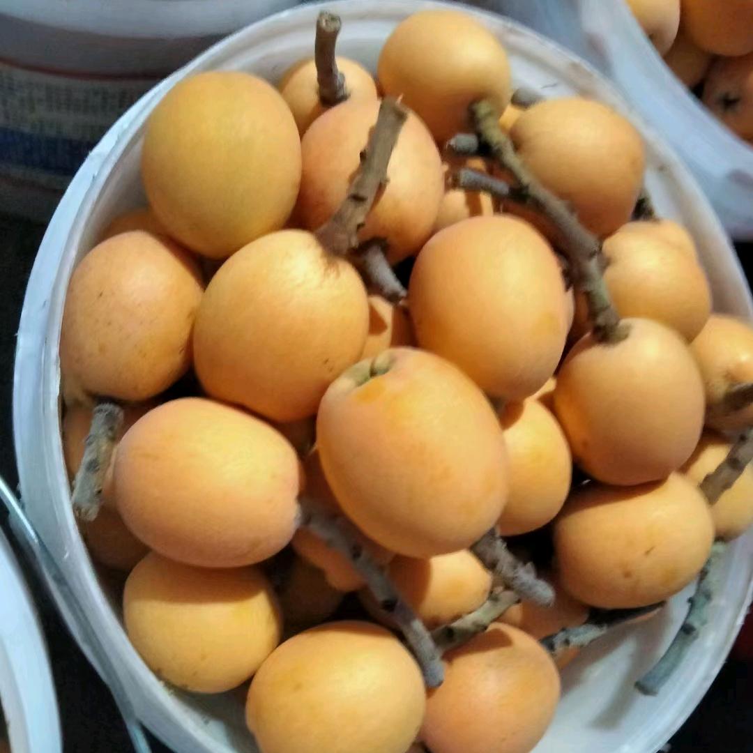 跑调歌