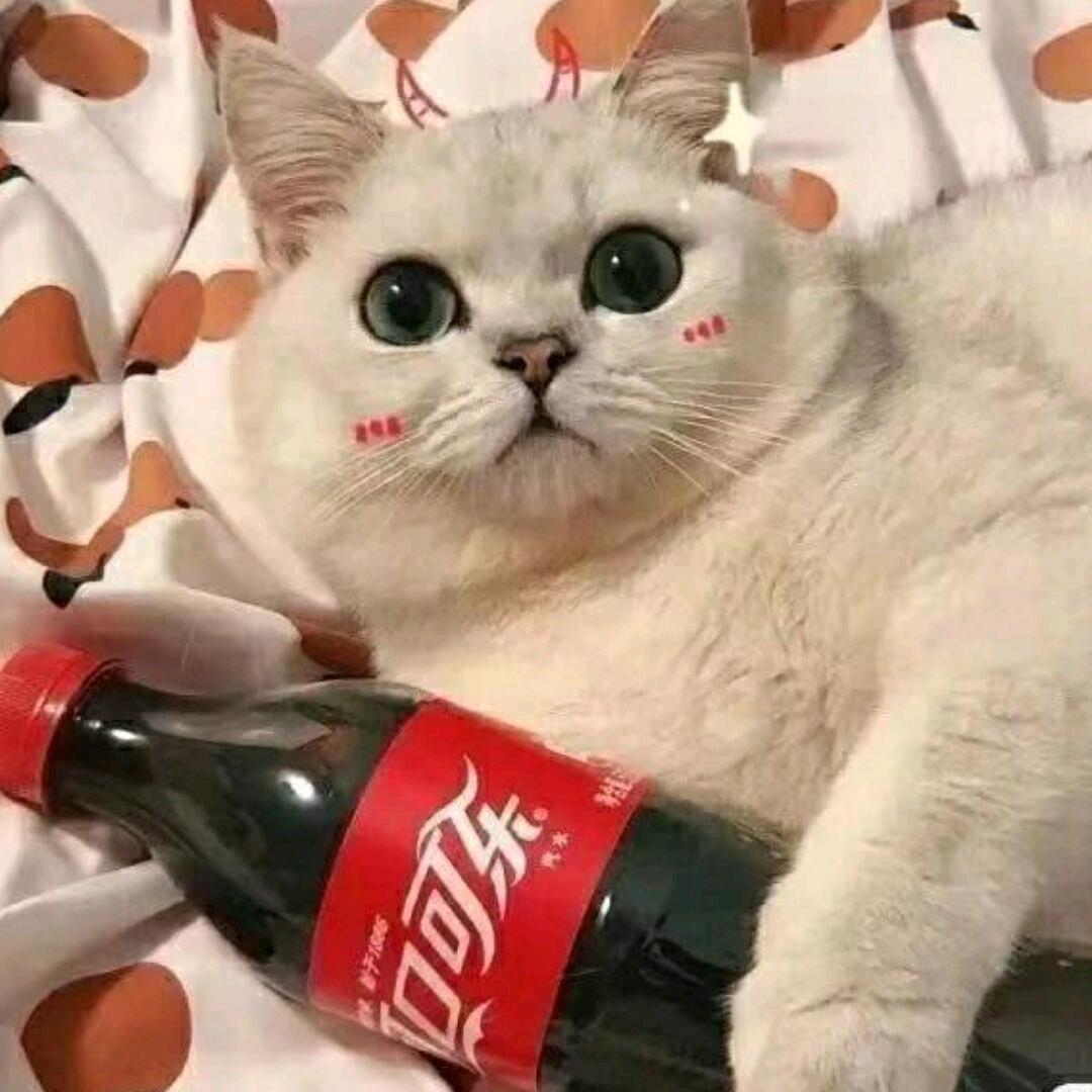 简单安逸