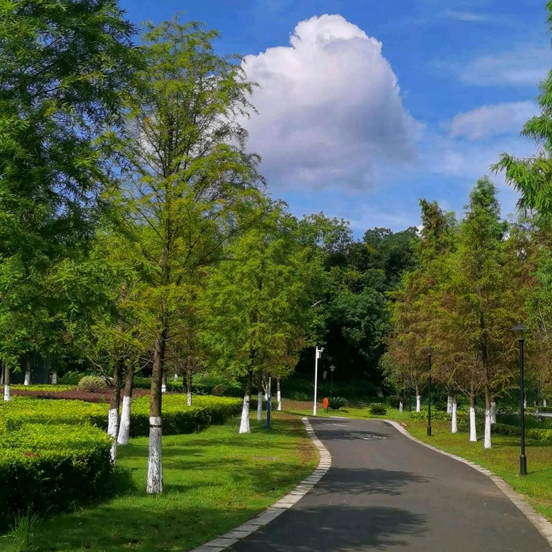 晴空万李